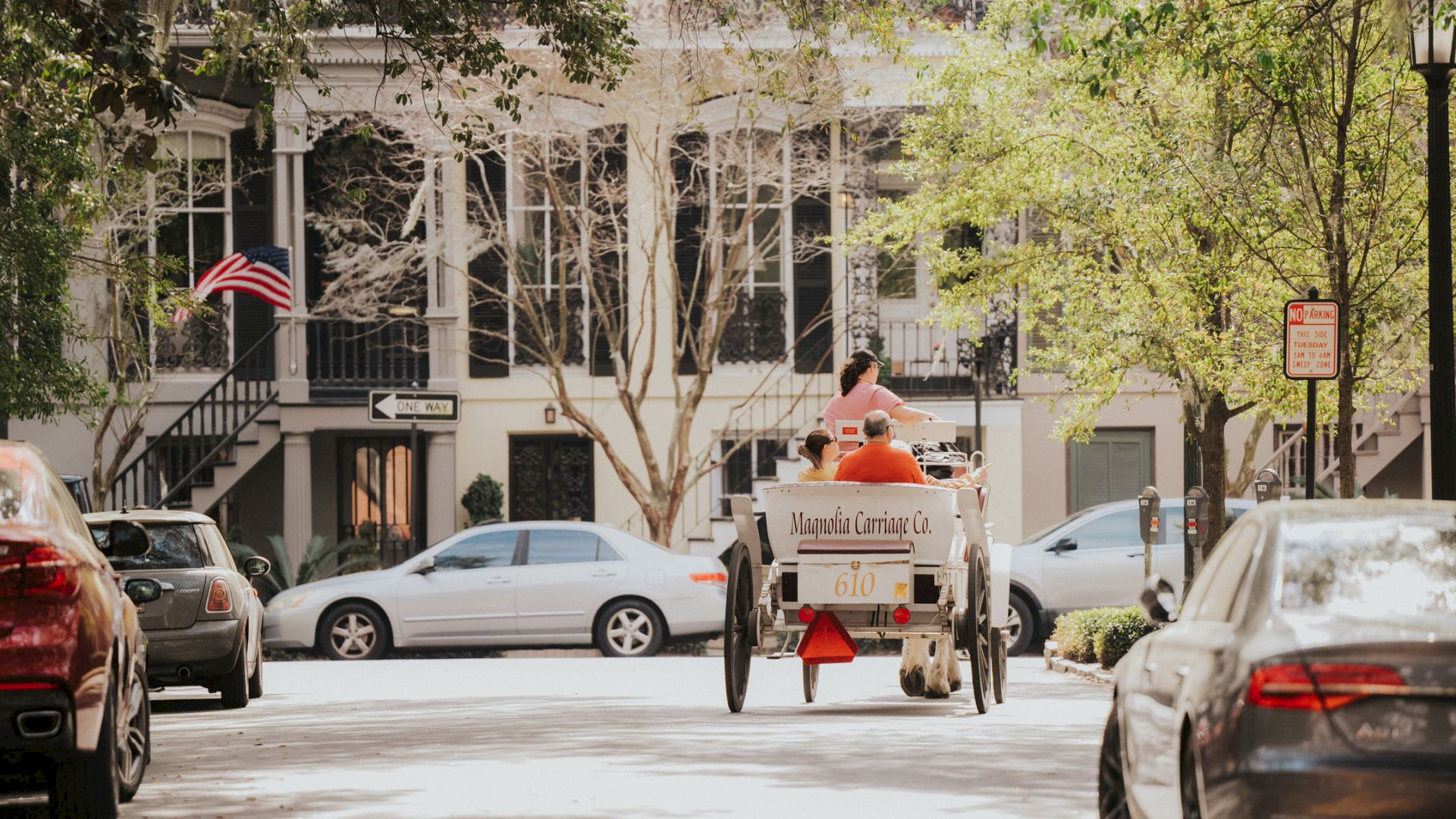 A horse-drawn carriage labeled &ldquo;Magnolia Carriage Co.&rdquo; drives down a city street while cars line the road.