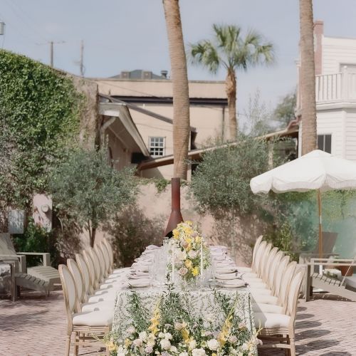 A quaint outdoor cafe scene with stone path, potted plants, shaded tables, and a palm tree under a sunny sky, creating a tropical ambiance.