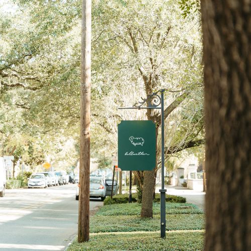 A tree-lined street with a green sign featuring a sheep drawing, surrounded by parked cars and lush greenery.