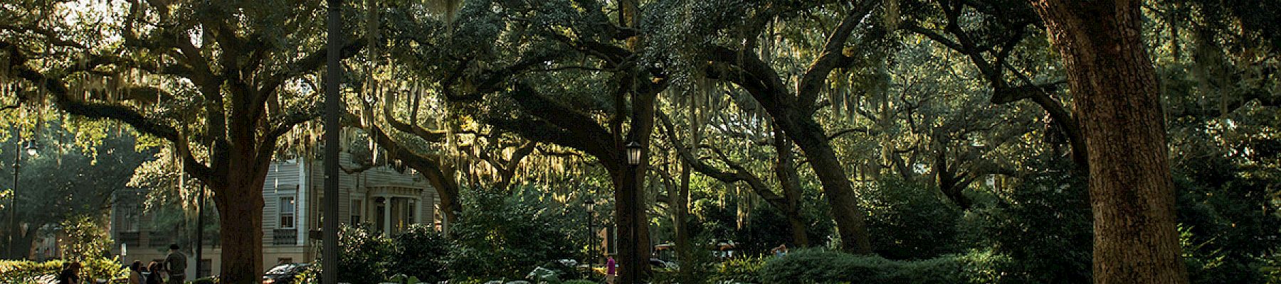 A sunlit brick path winds through a park, shaded by large trees draped with moss, creating a peaceful, serene atmosphere.