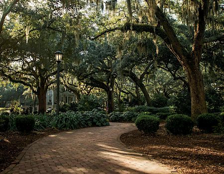 A sunlit brick path winds through a park, shaded by large trees draped with moss, creating a peaceful, serene atmosphere.