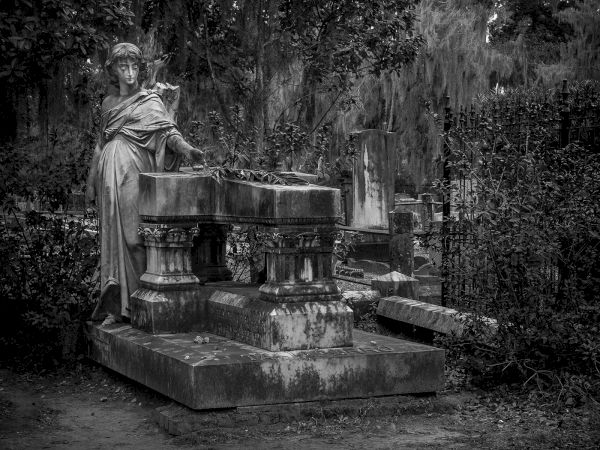 A black and white image of an ornate cemetery with a statue near an old tomb, surrounded by trees and overgrown foliage.