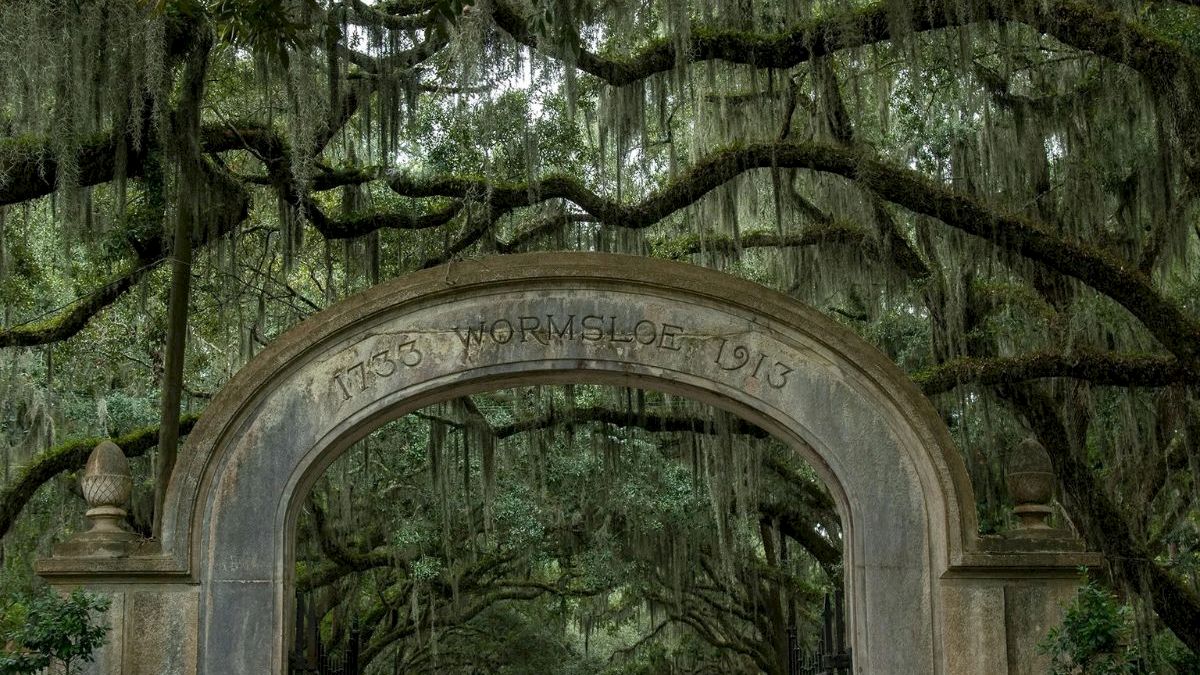 A moss-covered arch entrance stands in a steamy oak grove draped with Spanish moss, with &ldquo;Wormsloe&rdquo; carved on top.