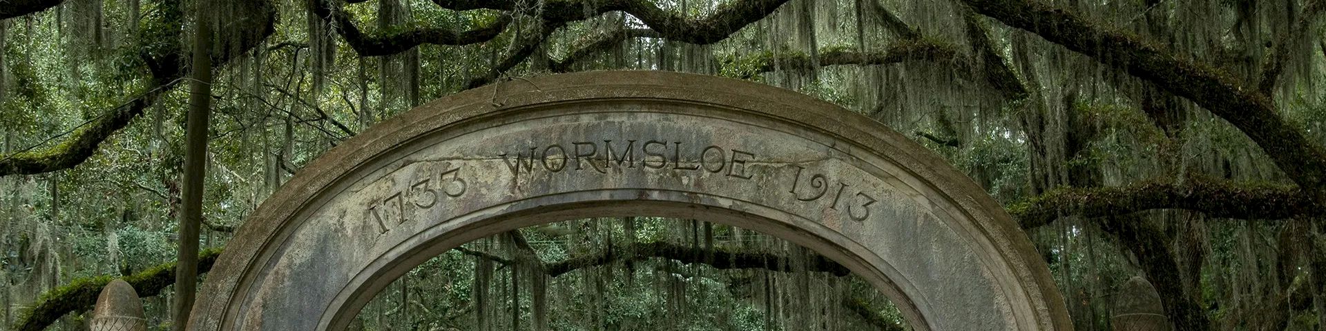 An old arched stone gateway overgrown with hanging Spanish moss, nestled in a mossy, wooded area, giving a haunted, historic vibe.