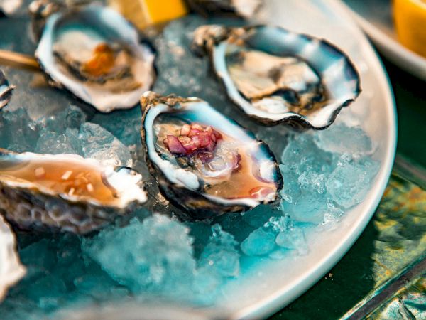 Fresh oysters on ice with lemon wedges and vibrant toppings, served chilled on a blue plate.