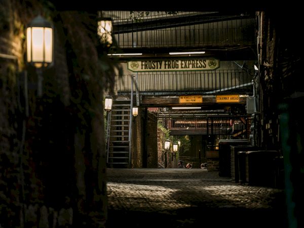 A dim alley with cobblestones leads to a sign labeled &ldquo;Frosty Frog Express&rdquo; under a bridge; lamps cast moody light along a narrow passage.
