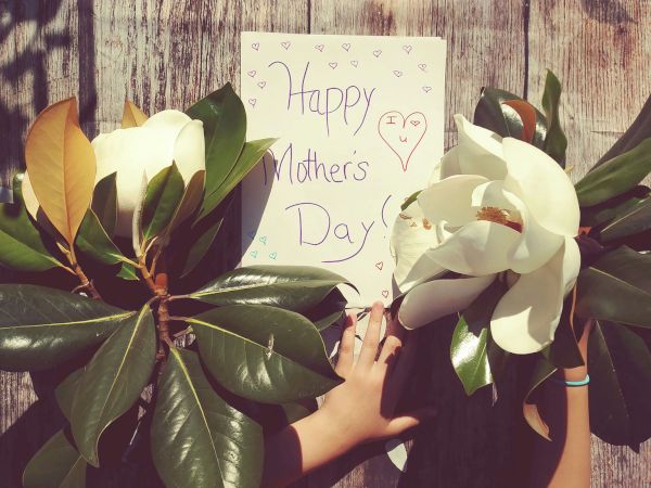 A handmade &ldquo;Happy Mother&rsquo;s Day&rdquo; card framed by large green leaves and white flowers, with two hands holding the card.