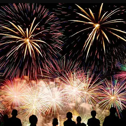 Colorful fireworks explode in the night sky above a crowd of silhouetted people watching.